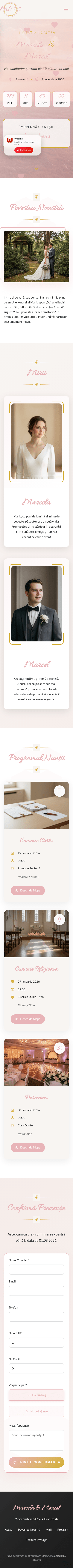 Romantic Floral Blush Mobile